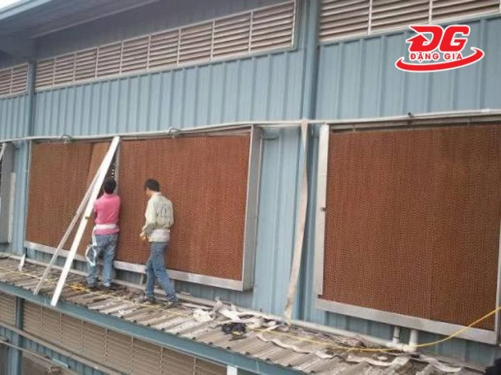 Chú trọng bảo bảo dưỡng Cooling Pad định kỳ