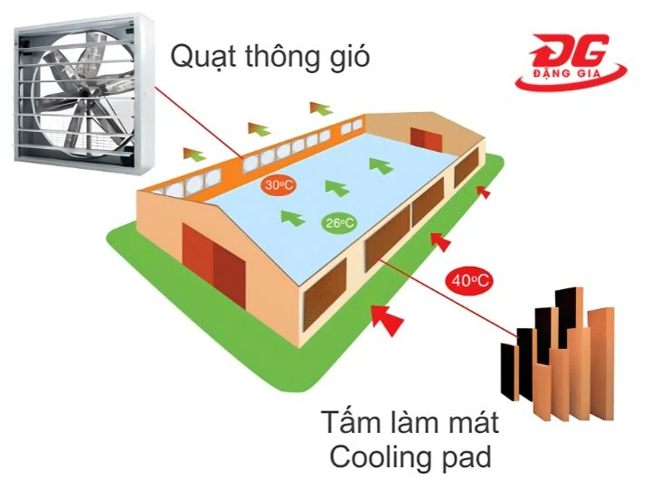 Cooling Pad nhà xưởng áp suất âm