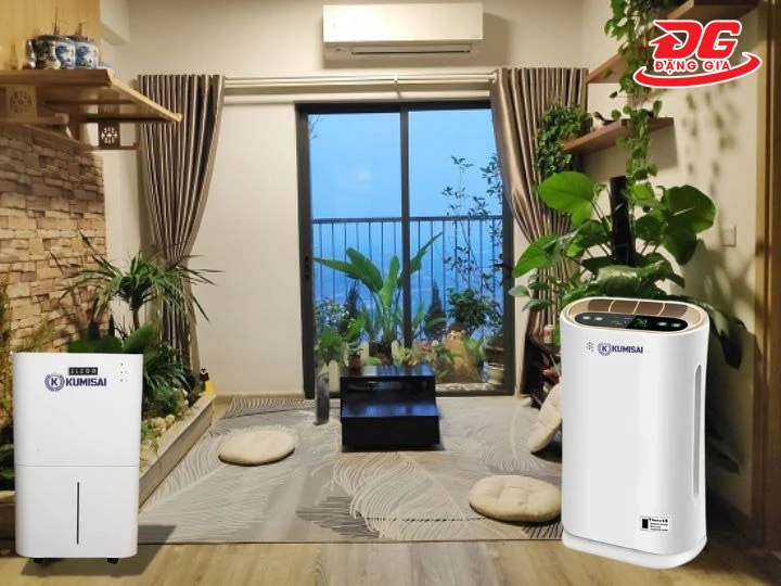 Nhà vừa ẩm vừa nhiều bụi, chọn cả 2