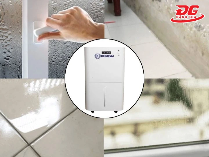 Phòng ẩm cao chọn máy hút ẩm