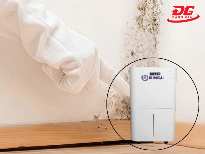Phòng kín, dễ nấm mốc chọn máy hút ẩm