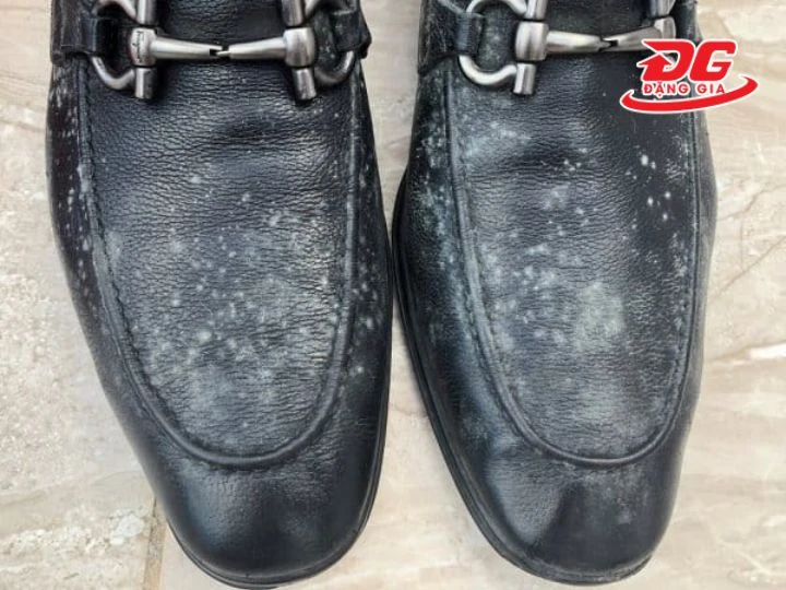 Hướng dẫn xử lý giày da nữ bị mốc