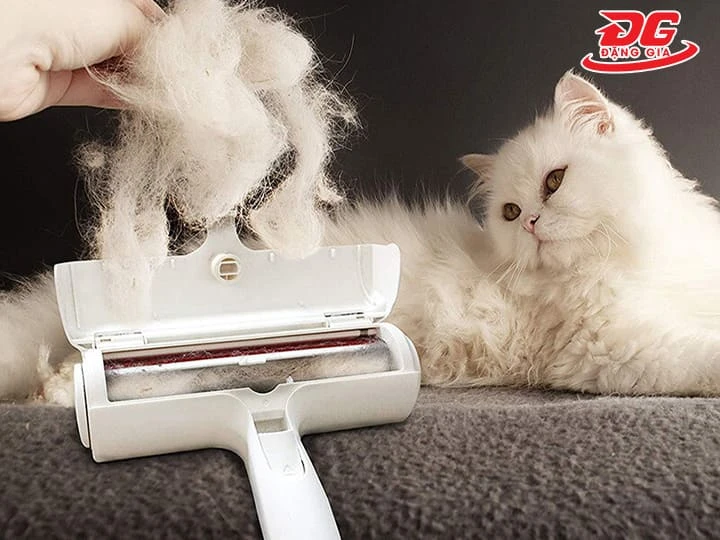 Lông chó mèo ảnh hưởng đến không khí