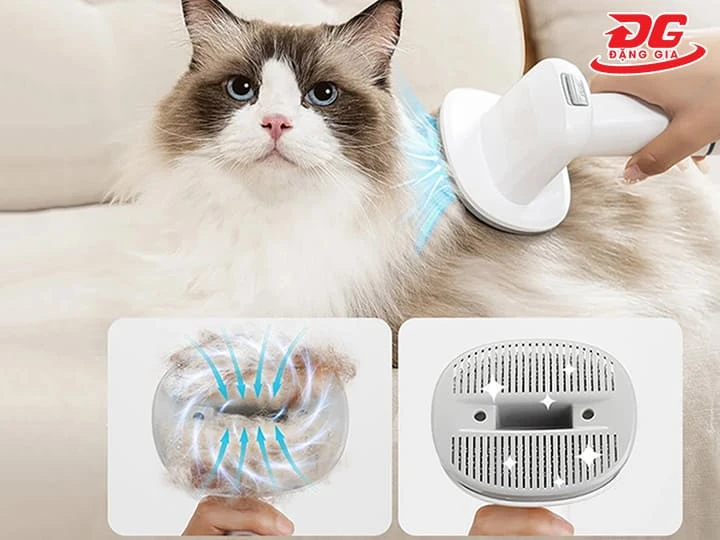 Lông chó mèo khiến nhà cửa mất vệ sinh