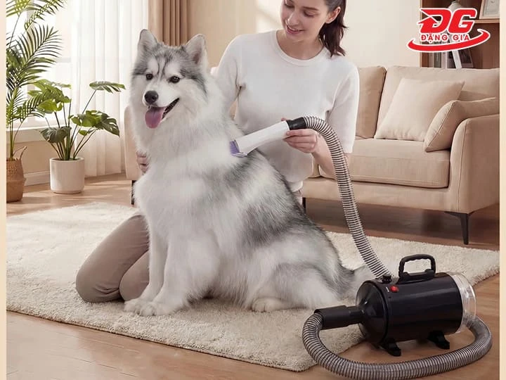 Lựa chọn máy có độ ồn phù hợp
