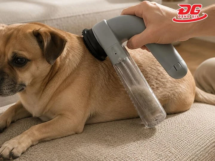 Lực hút và khả năng thu gom lông của máy hút bụi