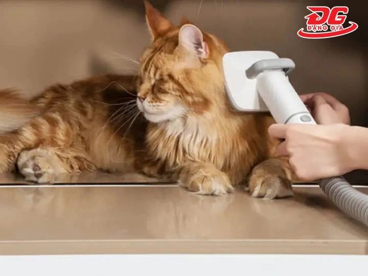 Tổng quan về máy hút lông mèo