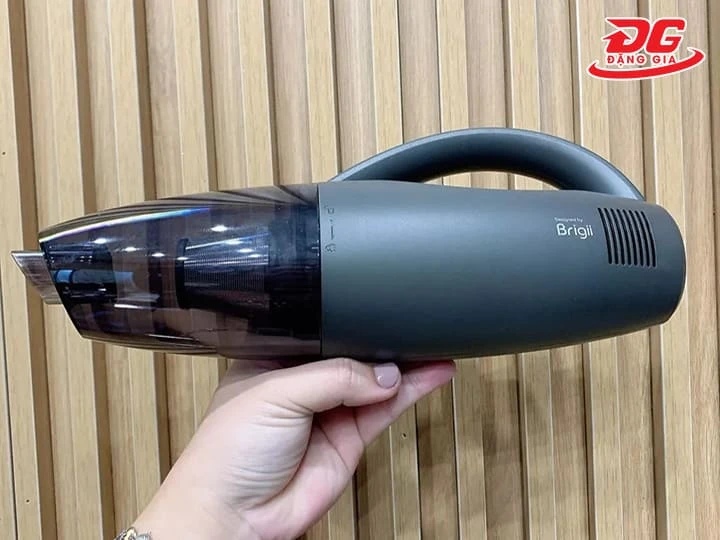 Brigii MX30