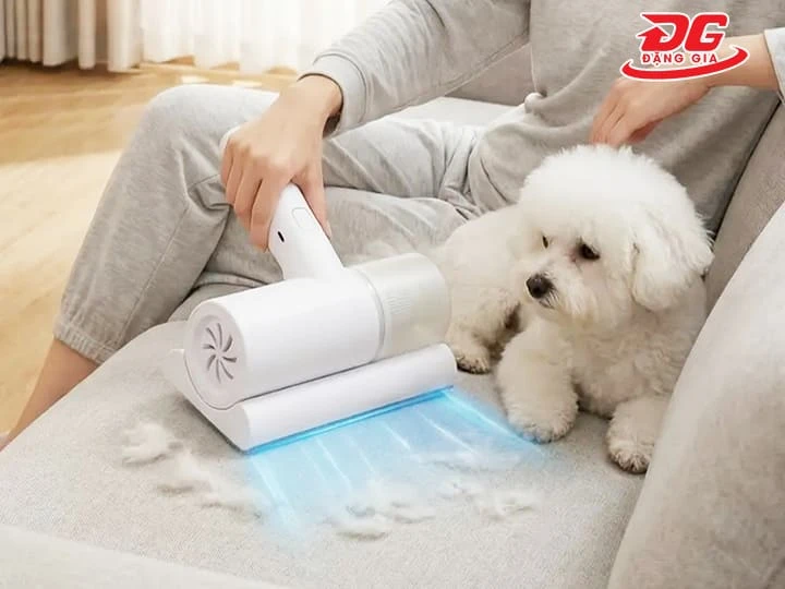 Máy hút bụi giường nệm hỗ trợ hút lông chó mèo