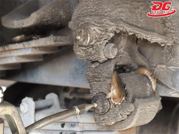 Áp lực và lưu lượng ảnh hưởng trực tiếp đến hiệu quả bơm mỡ