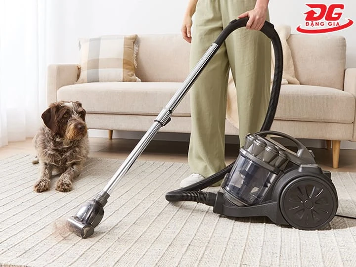 Máy hút bụi 2400W dạng cầm tay nhỏ gọn, linh hoạt cho gia đình