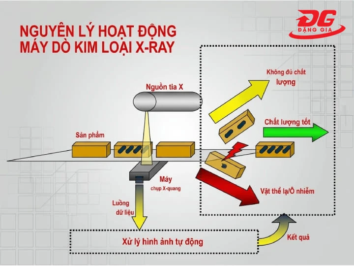 Sơ đồ nguyên lý phát hiện dị vật của máy rà kim loại X-ray