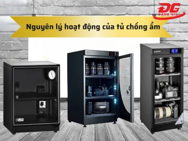 Nguyên lý tủ chống ẩm: Cấu tạo, cách hoạt động và cách sử dụng