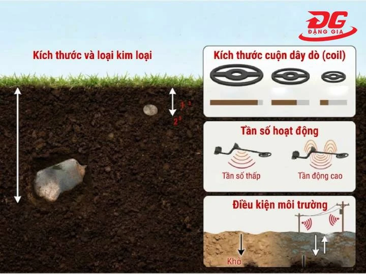 Kích thước cuộn dây dò (Search Coil) ảnh hưởng trực tiếp đến phạm vi quét và độ sâu phát hiện kim loại