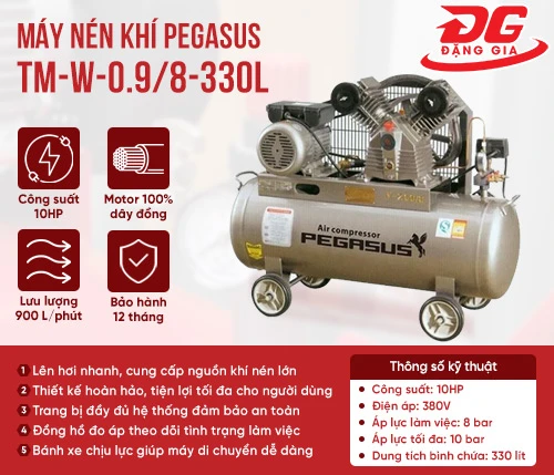 Máy nén khí Pegasus TM-W-0.9/8-330L 2