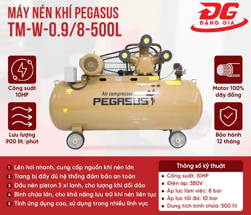 Máy nén khí Pegasus TM-W-0.9/8-500L 2