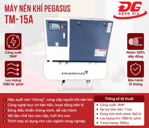 Máy nén khí trục vít Pegasus TM-15A 2