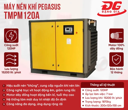 Máy nén khí trục vít Pegasus TMPM120A 2