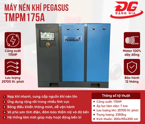 Máy nén khí trục vít Pegasus TMPM175A 2