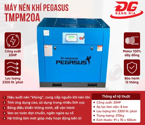 Máy nén khí trục vít Pegasus TMPM20A 2