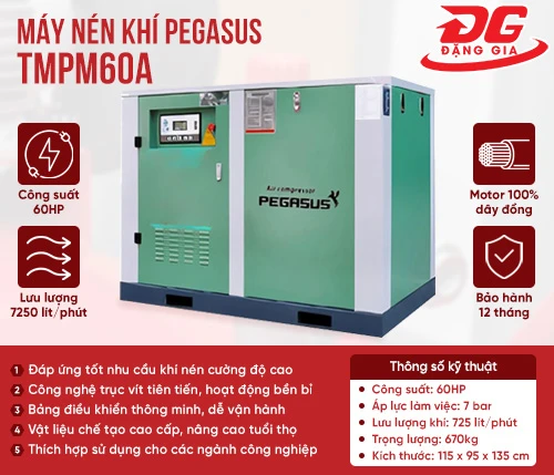 Máy nén khí trục vít Pegasus TMPM60A 2