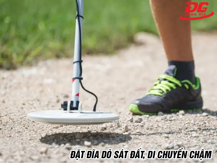 Cách dùng máy dò vàng cốm Gold Bug Fisher