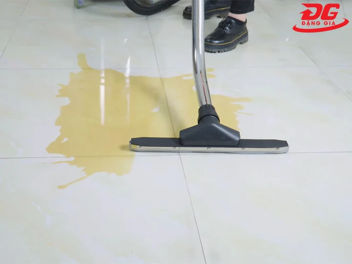 đảm bảo lực hút