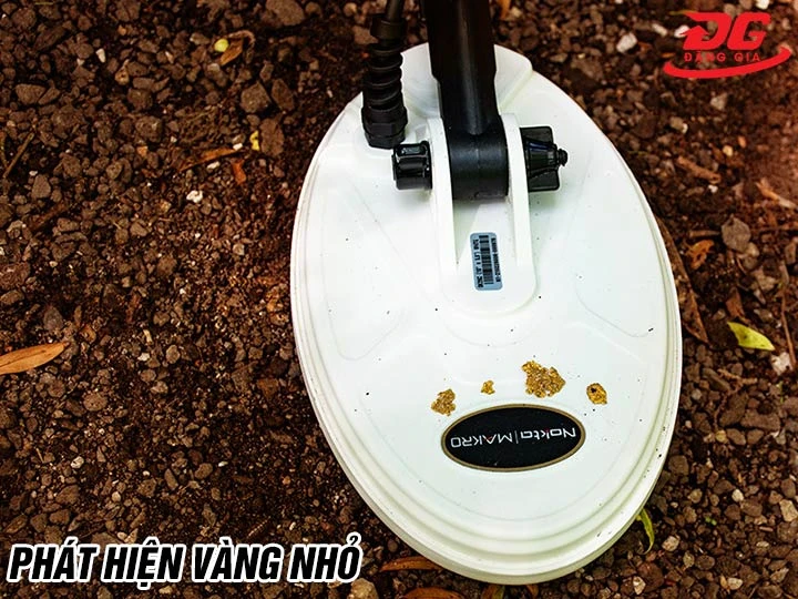 Máy dò vàng Gold Finder 2000 dò cả vàng nhỏ