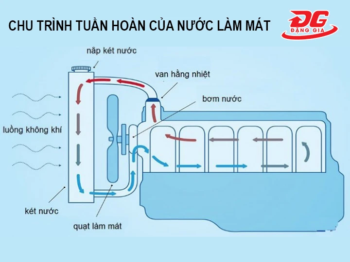 Chu trình tuần hoàn của nước làm mát