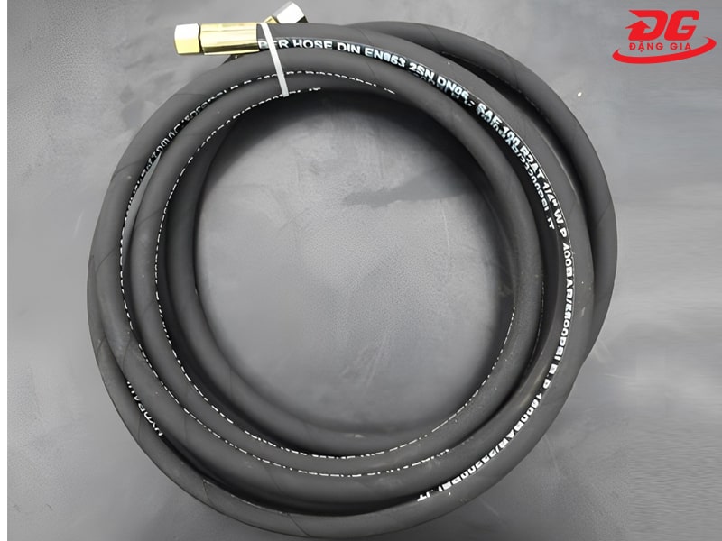 Độ dài trung bình từ 4-6m