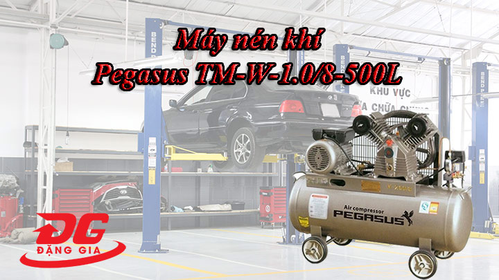 Pegasus TM-W-1.0/8-500L