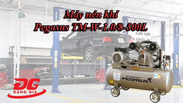 Pegasus TM-W-1.0/8-500L