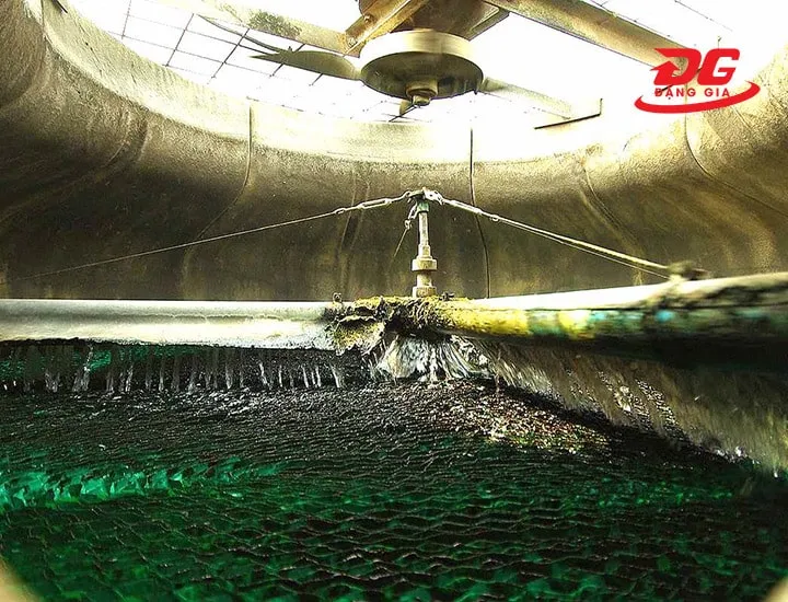 Tấm giải nhiệt bám nhiều rong rêu, bụi bẩn ảnh hưởng trực tiếp đến hiệu suất làm mát của tháp