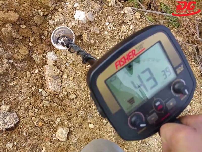 Hình ảnh làm việc thực tế của máy dò vàng cốm Gold Bug Fisher