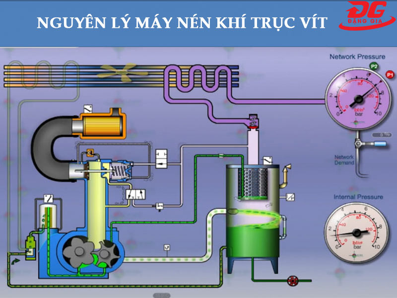 Sơ đồ nguyên lý máy nén khí trục vít