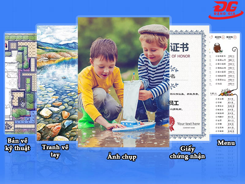 Kích Bật Mầm Hoa APC - Bí Quyết Chăm Sóc Hoa Hiệu Quả