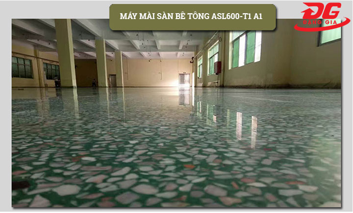 ứng dụng của asl600 t1