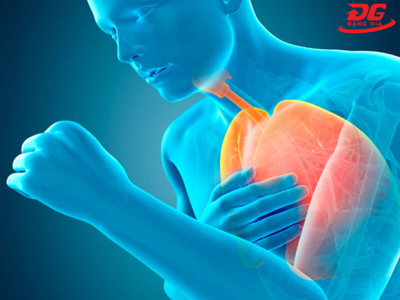 vấn đề ô nhiễm môi trường