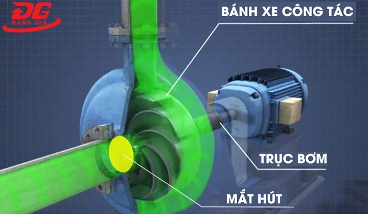 cấu tạo của bơm ly tâm
