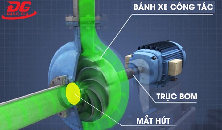 cấu tạo của bơm ly tâm