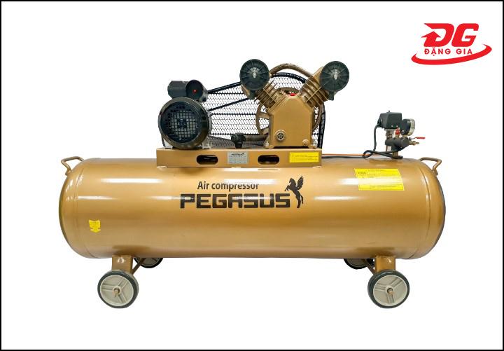 Máy nén khí Pegasus TM-V-0.25/8-120L