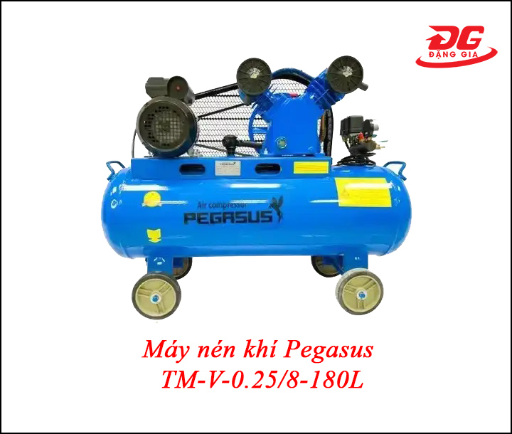 Máy bơm hơi Pegasus TM-V-0.25/8 