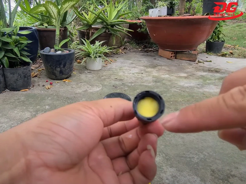 cắt một mảnh nhỏ từ miếng xốp và nhét vào lỗ ở đầu vòi xịt