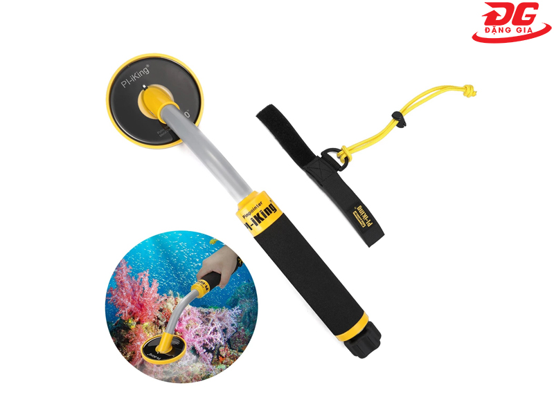 Máy rà tìm kim loại dưới nước Picking 750