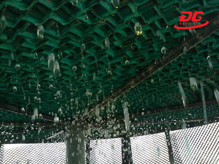 Xử lý rêu tảo giúp tháp vận hành bền bỉ, ổn định, đạt hiệu suất cao