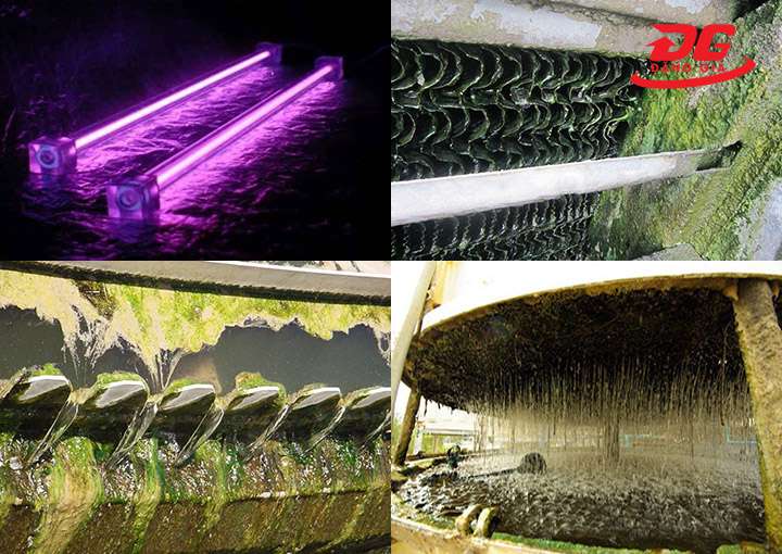 Chiếu tia UV để tiêu diệt vi sinh vật