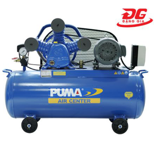 Puma GX30100 (3HP)