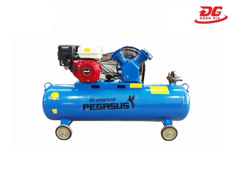 Máy bơm khí nén Pegasus TM-V-0.25/8-100L chạy xăng