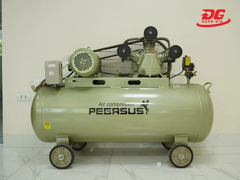 Hình ảnh model Pegasus TM-V-0.36/8-230L