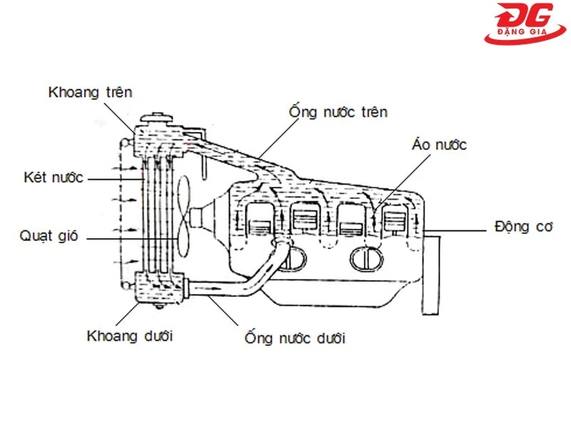Hình minh họa sơ đồ làm mát nước kiểu đối lưu tự nhiên
